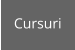 Cursuri